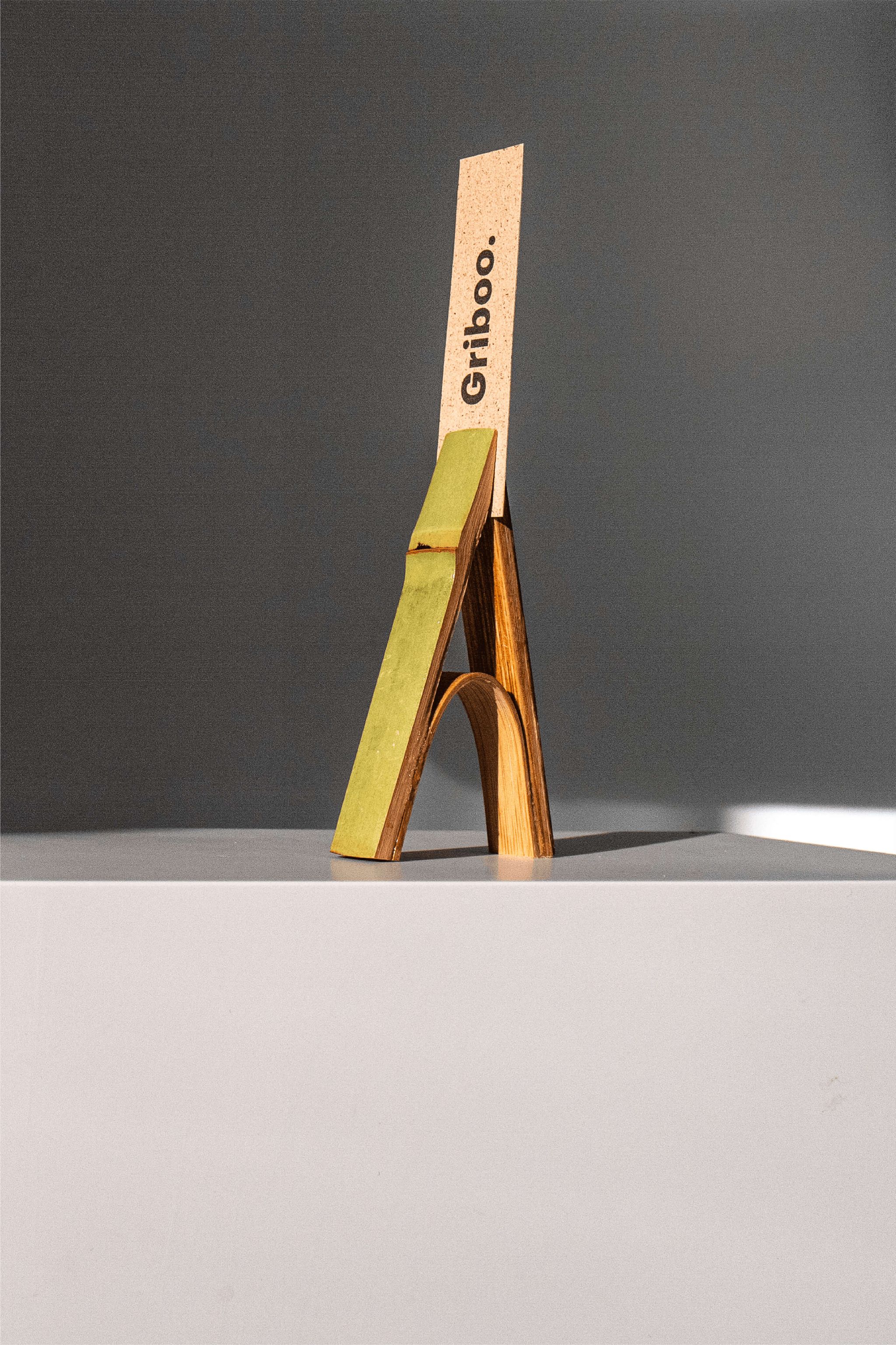 Griboo design project